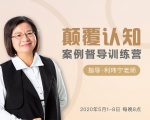 颠覆认知,案例督导训练营:打破旧模式 引领新思维-金融资料分享
