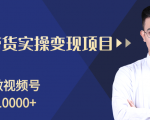 柚子分享课:微信视频号变现攻略,新手零基础轻松日赚千元-金融资料分享