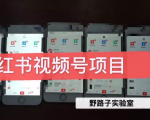野路子小红书视频号1.0项目，直接上手操作就能赚钱的视频号项目-金融资料分享