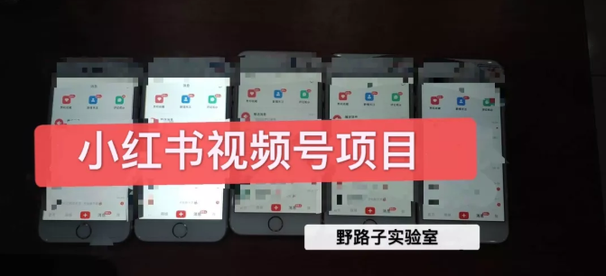 野路子小红书视频号1.0项目,直接上手操作就能赚钱的视频号项目-金融资料分享