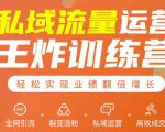 私域流量运营王炸训练营：全网引流+裂变涨粉+私域运营+高效成交-金融资料分享