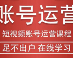 短视频账号运营课程：从话术到短视频运营再到直播带货全流程，新人快速入门-金融资料分享
