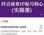 抖音商业IP起号核心实操课，带你玩转算法，流量，内容，架构，变现-金融资料分享