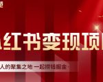 渣圈学苑·小红书虚拟资源变现项目，一起捞钱掘金价值1099元-金融资料分享