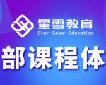 星雪教育淘系高级班,更全的运营提升方案,零基础由浅入深,店铺最新玩法-金融资料分享
