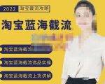 2022淘宝蓝海截流攻略,淘宝蓝海截流选品上货实操讲解-金融资料分享