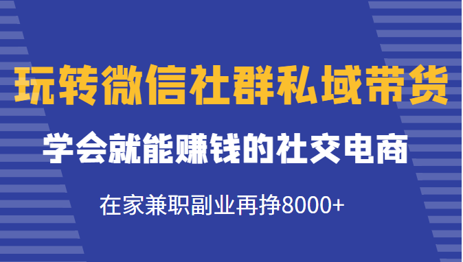 玩转微信社群私域带货,学会就能赚钱的社交电商,在家兼职副业再挣8000+-金融资料分享