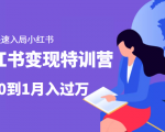 小红书变现特训营：带你快速入局小红书，从0到1月入过万-金融资料分享