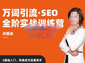 许茹冰·万词引流-SEO全阶实战训练营,0基础入门,快速成为流量高手-金融资料分享
