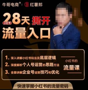 牛哥电商红薯邦28天撕开小红书流量入口,小红书运营系列课,快速掌握小红书的流量密码-金融资料分享