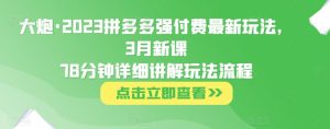 大炮·2023拼多多强付费最新玩法，3月新课​78分钟详细讲解玩法流程-金融资料分享