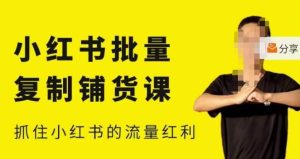 张宾·小红书批量复制铺货课,小红书0-1快速起号变现玩法,抓住小红书的流量红利(更新2023年3月)-金融资料分享