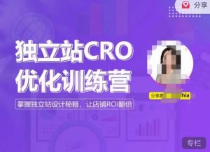 独立站CRO优化训练营,掌握独立站设计秘籍,打造高转化的独立站,让店铺ROI翻倍-金融资料分享