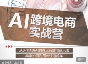 白龙老师·AI跨境电商实战营:从0-1精通Al的真正有效电商玩法,卖家如何利用Al快速超车-金融资料分享