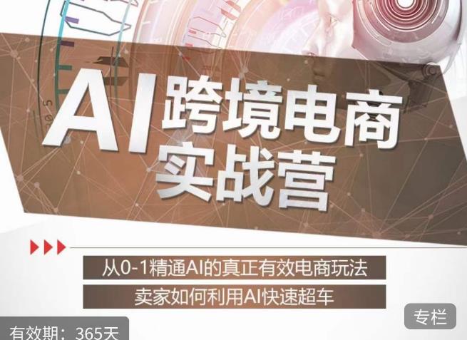 白龙老师·AI跨境电商实战营:从0-1精通Al的真正有效电商玩法,卖家如何利用Al快速超车-金融资料分享