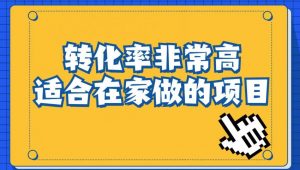 小红书虚拟电商项目:从小白到精英(视频课程+交付手册)-金融资料分享