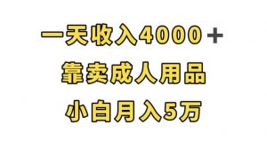 一天收入4000+,靠卖成人用品,小白轻松月入5万【揭秘】-金融资料分享