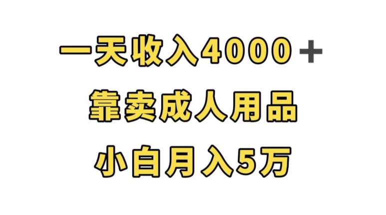 一天收入4000+,靠卖成人用品,小白轻松月入5万【揭秘】-金融资料分享