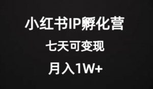 价值2000+的小红书IP孵化营项目，超级大蓝海，七天即可开始变现，稳定月入1W+-金融资料分享