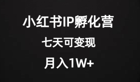 价值2000+的小红书IP孵化营项目，超级大蓝海，七天即可开始变现，稳定月入1W+-金融资料分享