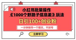 小红书批量操作《1000个野路子信息差》玩法，一分钟制作一个图文，不封号，日引100+创业粉-金融资料分享
