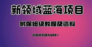 虚拟资源蓝海领域新项目，轻松日入800＋，附保姆级教程及资料-金融资料分享