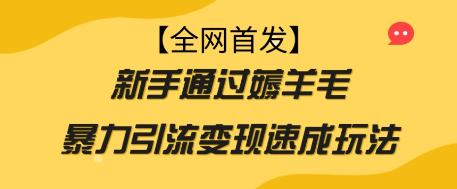【全网首发】新手通过薅羊毛暴力引流变现速成玩法-金融资料分享