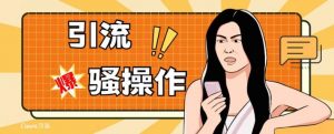 最新引流骚操作，单账号日引50-100，简单粗暴，适合于小白各行各业都可以进行操作，精准粉丝加到爆-金融资料分享