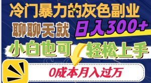 冷门暴利的副业项目，聊聊天就能日入300+，0成本月入过万【揭秘】-金融资料分享