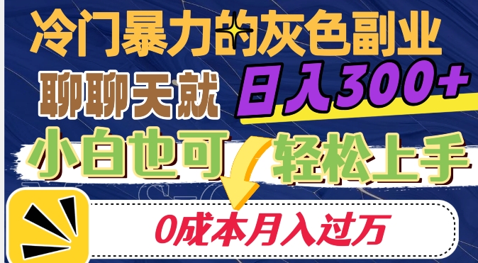 冷门暴利的副业项目，聊聊天就能日入300+，0成本月入过万【揭秘】-金融资料分享