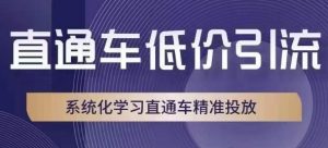 直通车低价引流课，系统化学习直通车精准投放-金融资料分享
