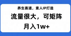 养生赛道,素人IP打造,流量很大,可矩阵,月入1w+【揭秘】-金融资料分享
