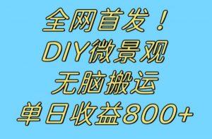 全网首发冷门赛道！DIY微景观，无脑搬运视频，日收益800+【揭秘】-金融资料分享