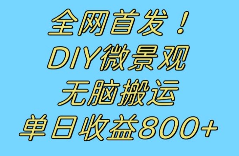 全网首发冷门赛道！DIY微景观，无脑搬运视频，日收益800+【揭秘】-金融资料分享