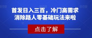 首发日入三百，冷门高需求消除路人零基础玩法来啦【揭秘】-金融资料分享
