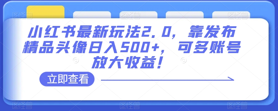 小红书最新玩法2.0,靠发布精品头像日入500+,可多账号放大收益!【揭秘】-金融资料分享