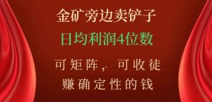 金矿旁边卖铲子，赚确定性的钱，可矩阵，可收徒，日均利润4位数【揭秘】-金融资料分享