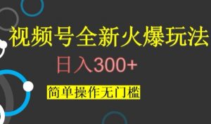 视频号最新爆火玩法，日入300+，简单操作无门槛【揭秘】-金融资料分享
