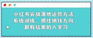 小红书实战落地运营方法,系统训练,抓住搞钱方向,跟有结果的人学习-金融资料分享
