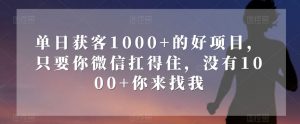 单日获客1000+的好项目，只要你微信扛得住，没有1000+你来找我【揭秘】-金融资料分享