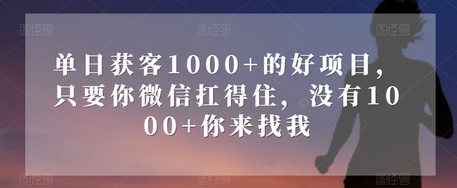 单日获客1000+的好项目，只要你微信扛得住，没有1000+你来找我【揭秘】-金融资料分享
