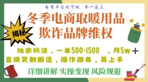 利用电商平台冬季销售取暖用品欺诈行为合理制裁店铺，单日入900+【仅揭秘】-金融资料分享