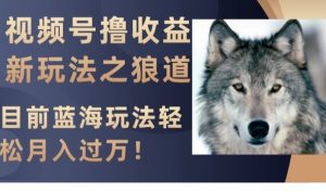 视频号撸收益新玩法之狼道,目前蓝海玩法,轻松月入过万【揭秘】-金融资料分享