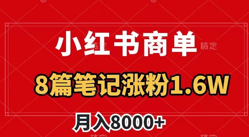 小红书商单最新玩法,8篇笔记涨粉1.6w,作品制作简单,月入8000+【揭秘】-金融资料分享