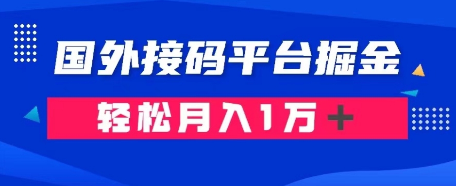 通过国外接码平台掘金：成本1.3，利润10＋，轻松月入1万＋【揭秘】-金融资料分享