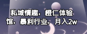 私域情趣,橙仁体验馆,暴利行业,月入2w【揭秘】-金融资料分享