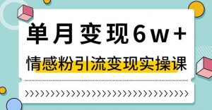 单月变现6W+，抖音情感粉引流变现实操课，小白可做，轻松上手，独家赛道【揭秘】-金融资料分享