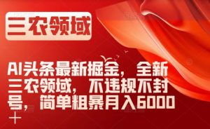 AI头条最新掘金，全新三农领域，不违规不封号，简单粗暴月入6000＋【揭秘】-金融资料分享