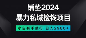 暴力私域捡钱项目，小白无脑操作，日入2980【揭秘】-金融资料分享