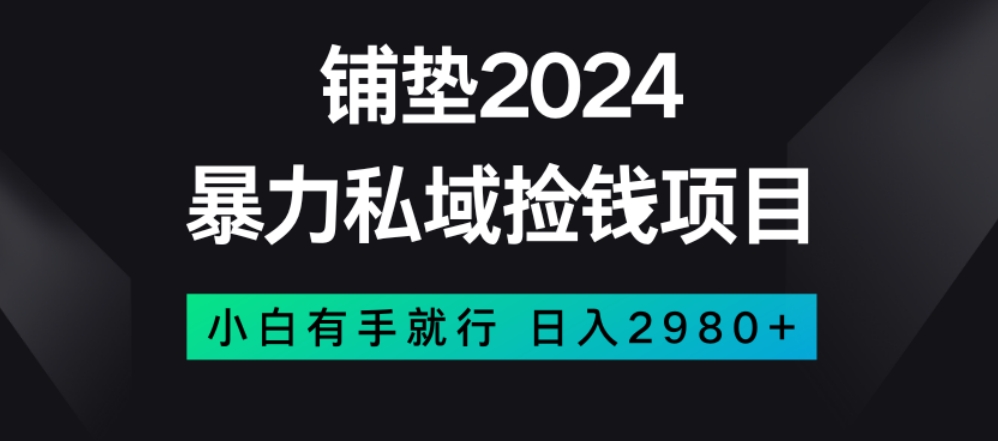 暴力私域捡钱项目，小白无脑操作，日入2980【揭秘】-金融资料分享